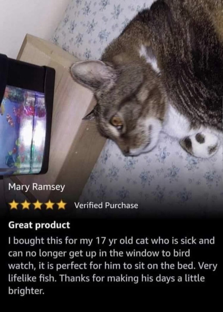 Mary Ramsey Verified Purchase Great product I bought this for my 17 yr old cat who is sick and can no longer get up in the window to bird watch, it is perfect for him to sit on the bed. Very lifelike fish. Thanks for making his days a little brighter.