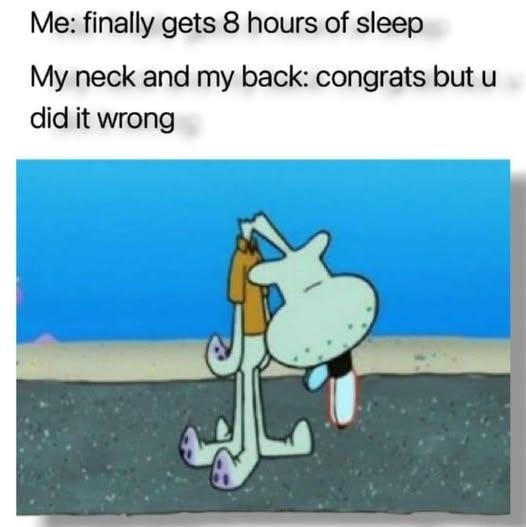 Me: finally gets 8 hours of sleep
My neck and my back: congrats but u did it wrong