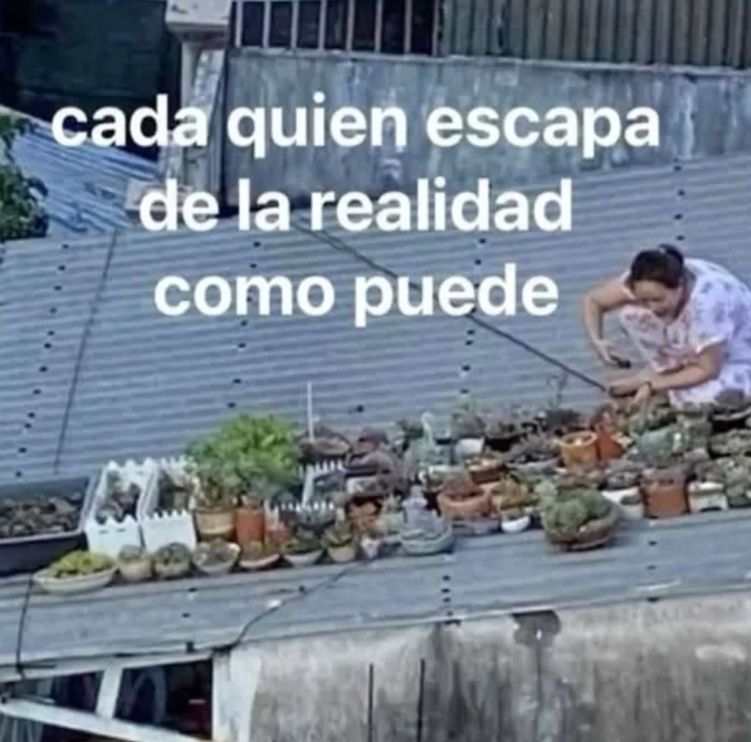 cada quien escapa de la realidad como puede