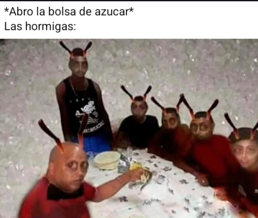 *Abro la bolsa de azucar*
Las hormigas: