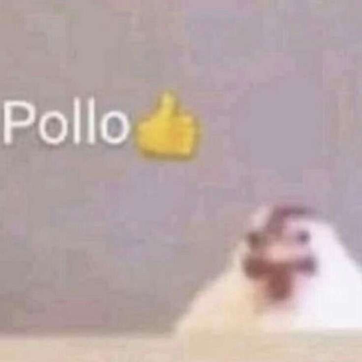 Pollo 👍