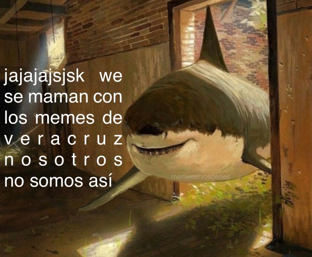 jajajajsjsk we se maman con los memes de veracruz nosotros no somos así