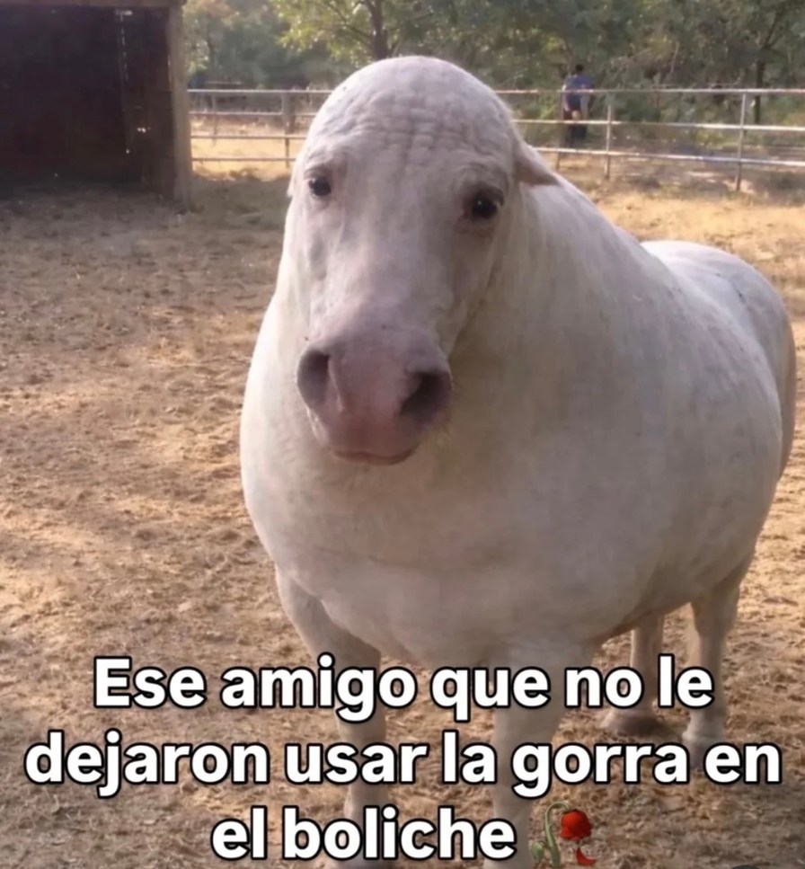 Ese amigo que no le dejaron usar la gorra en el boliche