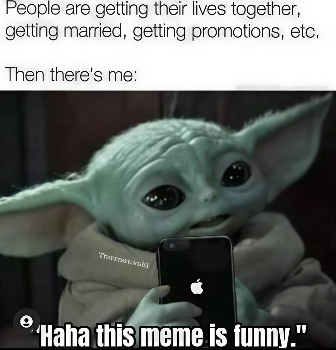 People are getting their lives together, getting married, getting promotions, etc. Then there's me: Haha this meme is funny.