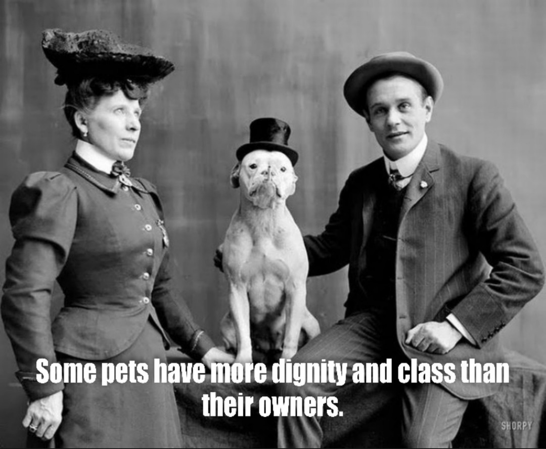 Some pets have more dignity and class than their owners.