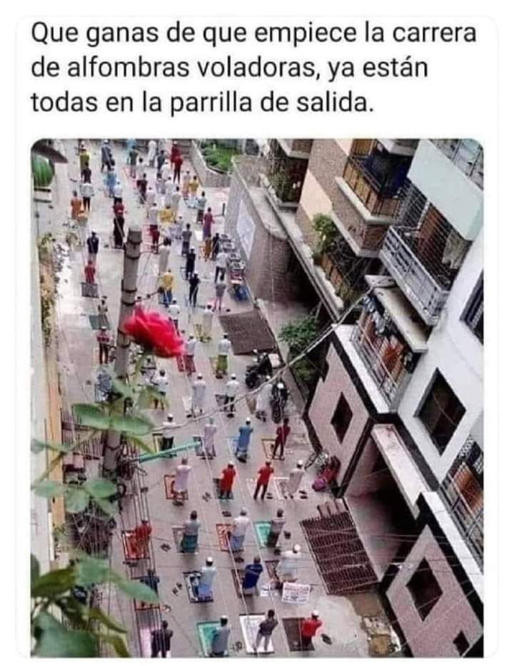 Que ganas de que empiece la carrera de alfombras voladoras, ya están todas en la parrilla de salida.