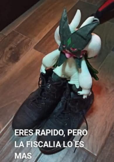 ERES RAPIDO, PERO LA FISCALIA LO ES MAS