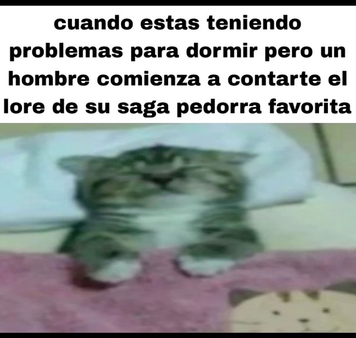 cuando estas teniendo problemas para dormir pero un hombre comienza a contarte el lore de su saga pedorra favorita