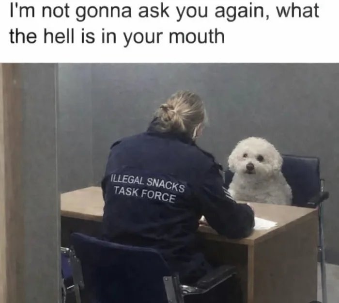 I'm not gonna ask you again, what the hell is in your mouth