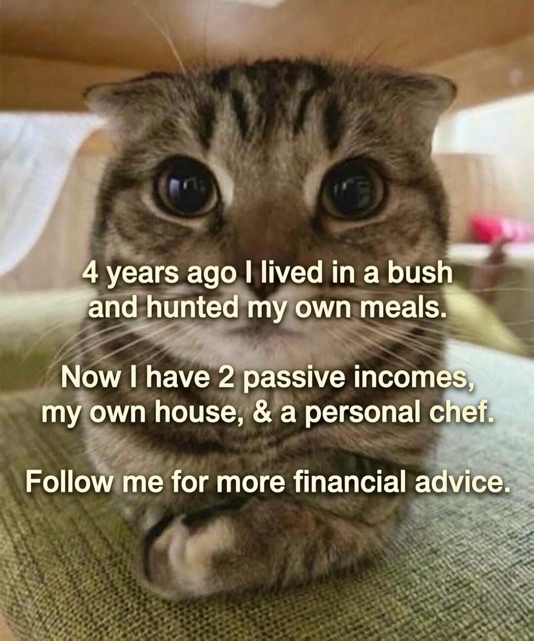 4 years ago I lived in a bush and hunted my own meals. Now I have 2 passive incomes, my own house, & a personal chef. Follow me for more financial advice.