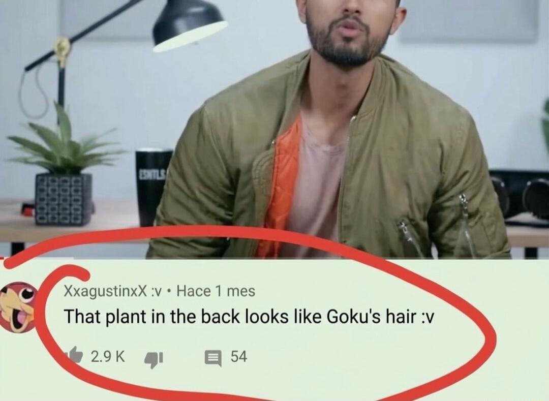 That plant in the back looks like Goku's hair :v