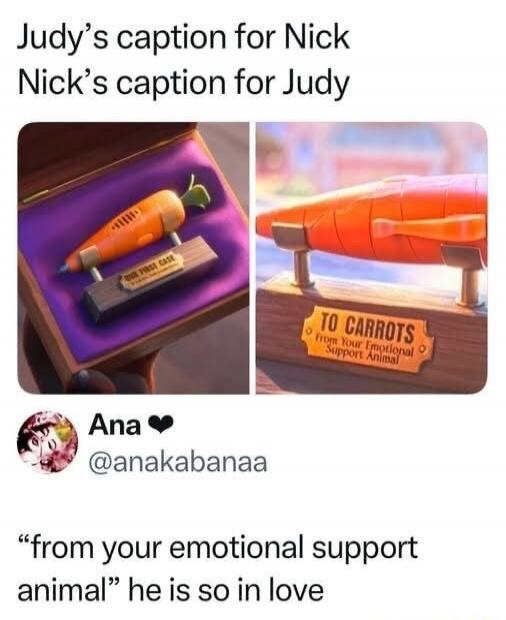 Judy's caption for Nick Nick's caption for Judy TO CARROTS From Your Emotional Support Animal
