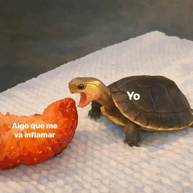 Algo que me va inflamar
Yo