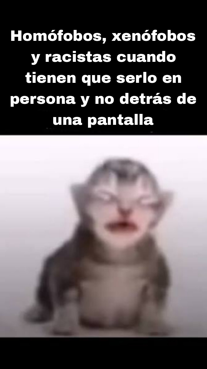 Homófobos, xenófobos y racistas cuando tienen que serlo en persona y no detrás de una pantalla