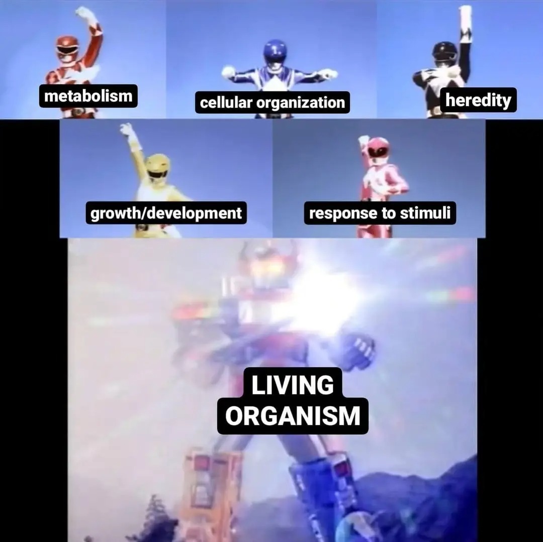 metabolism, cellular organization, heredity, growth/development, response to stimuli, LIVING ORGANISM