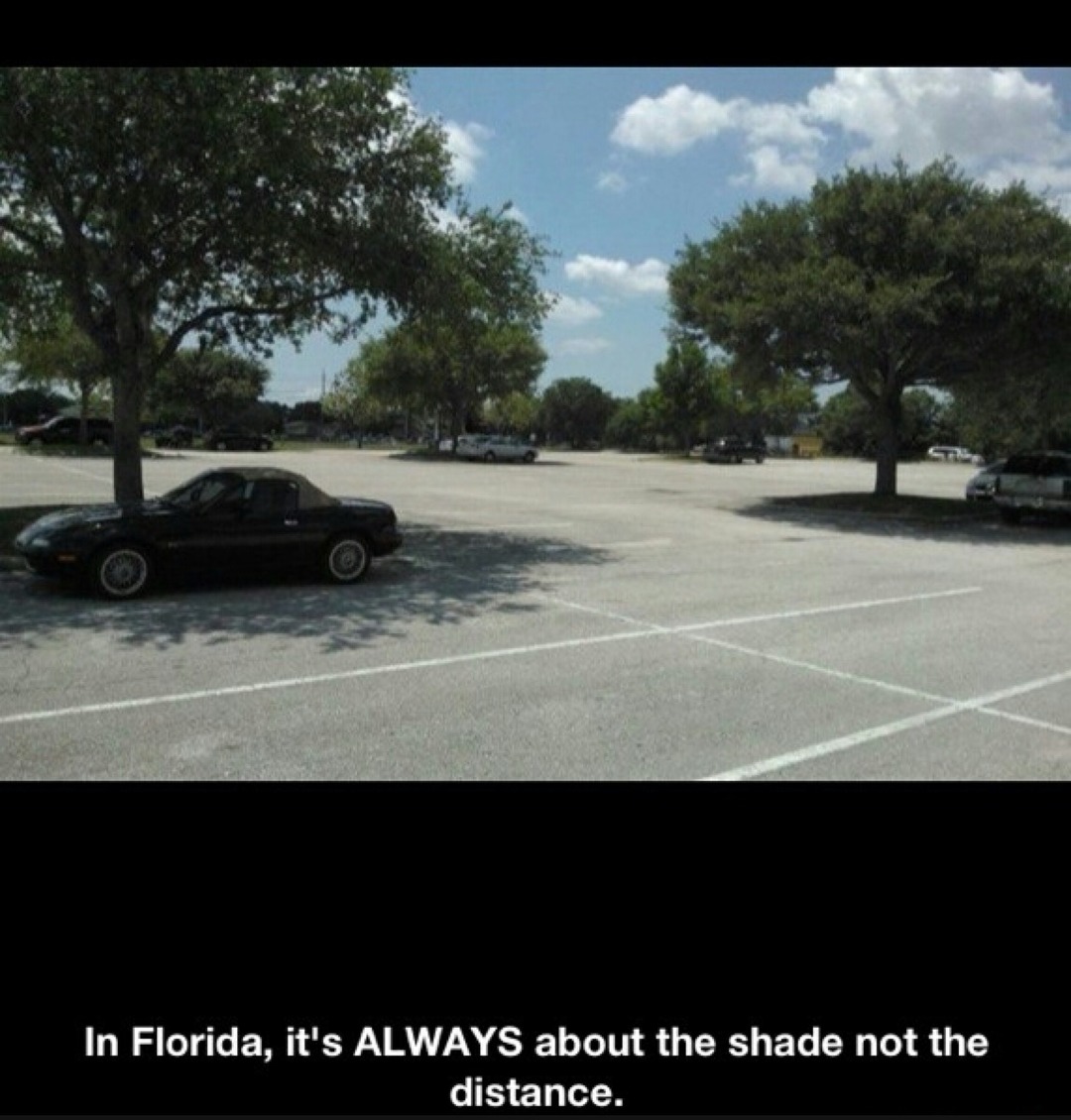In Florida, it's ALWAYS about the shade not the distance.