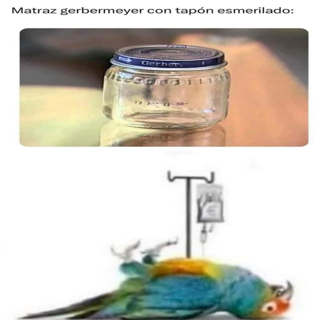 Matraz germermeyer con tapón esmerilado: