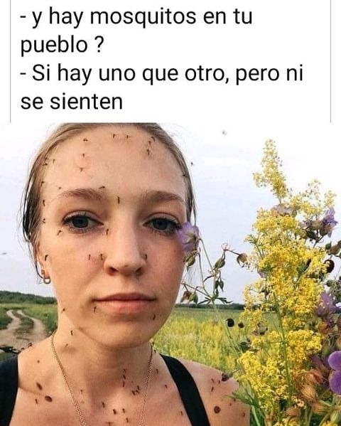 - ¿y hay mosquitos en tu pueblo?
- Si hay uno que otro, pero ni se sienten