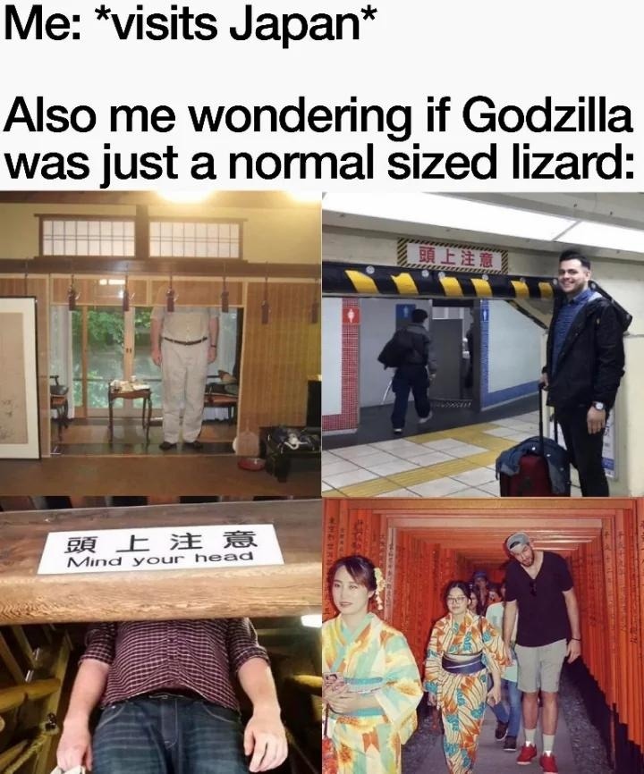 Me: *visits Japan*
Also me wondering if Godzilla was just a normal sized lizard: