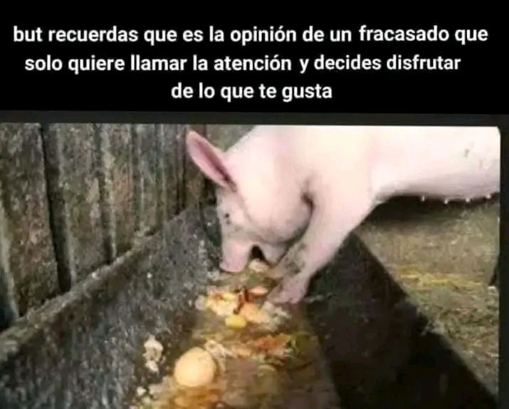 but recuerdas que es la opinión de un fracasado que solo quiere llamar la atención y decides disfrutar de lo que te gusta
