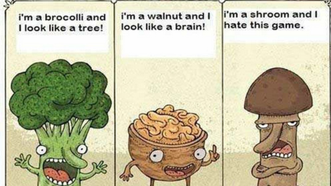 I'm a brocolli and I look like a tree! I'm a walnut and I look like a brain! I'm a shroom and I hate this game.