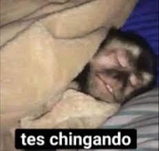 tes chingando