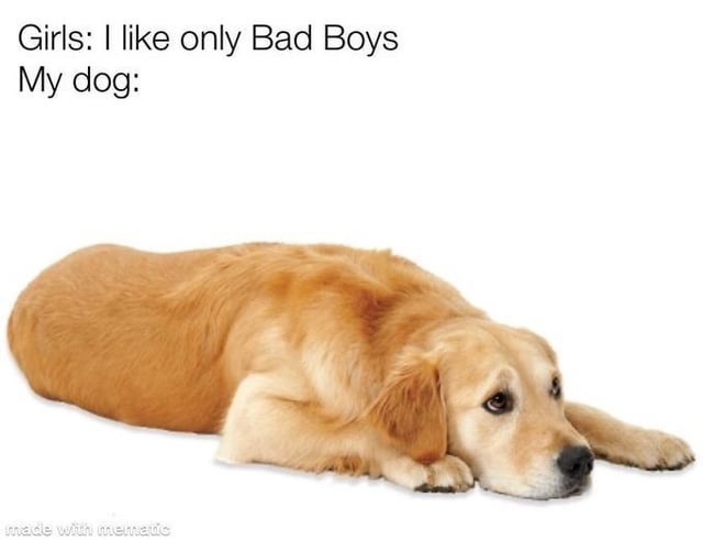 Girls: I like only Bad Boys
My dog: