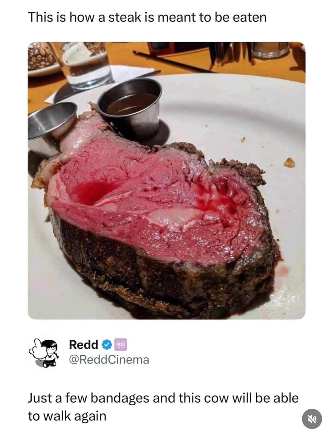 This is how a steak is meant to be eaten
Just a few bandages and this cow will be able to walk again