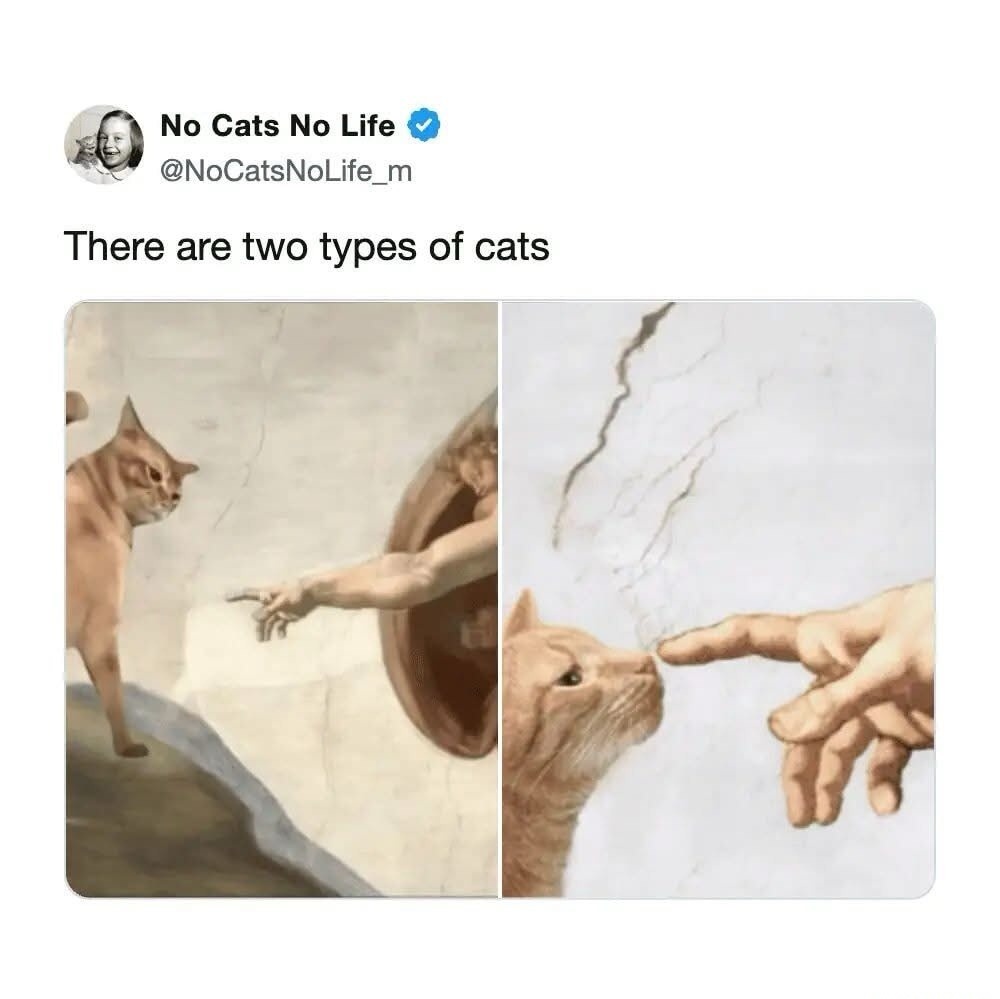 There are two types of cats