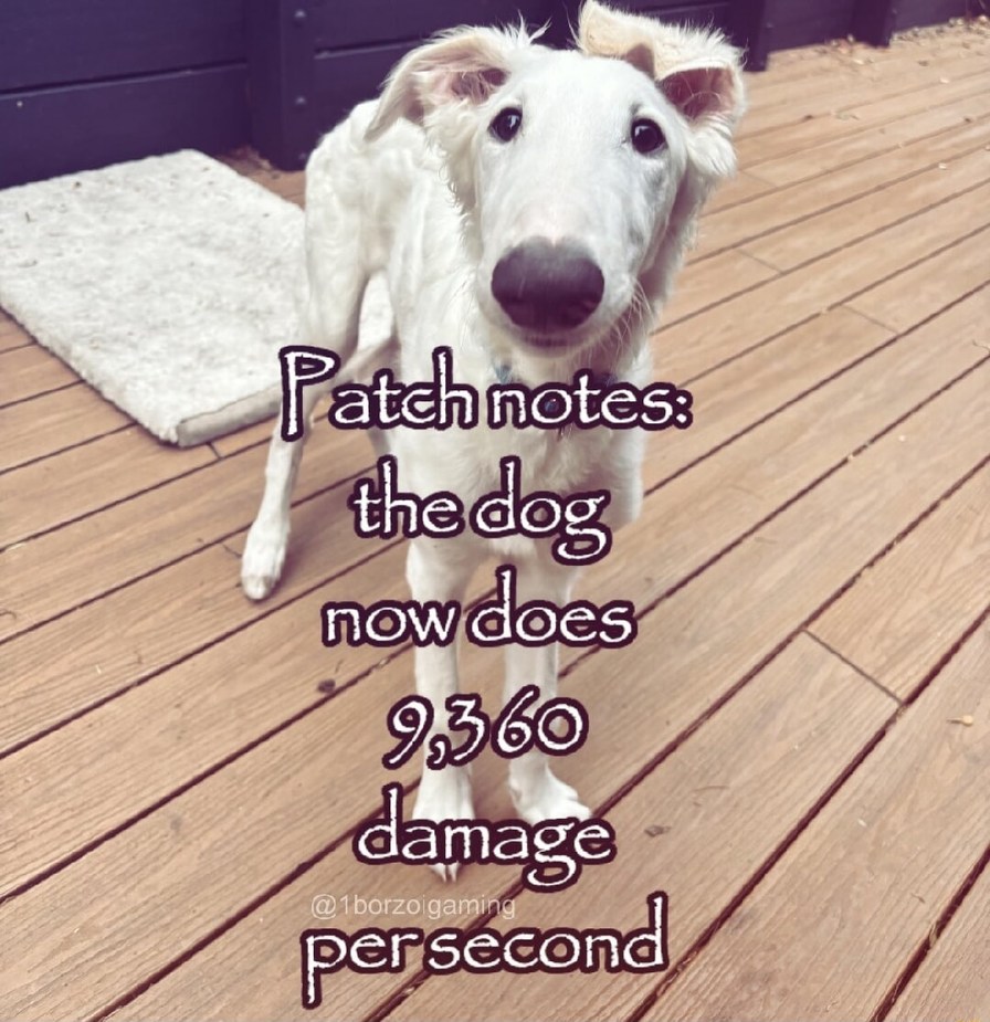Patch notes: the dog now does 9,360 damage per second