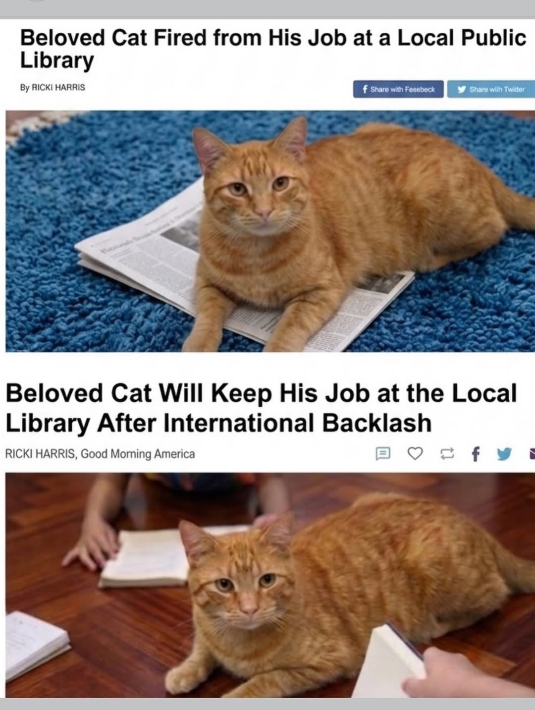 Beloved Cat Fired from His Job at a Local Public Library Beloved Cat Will Keep His Job at the Local Library After International Backlash