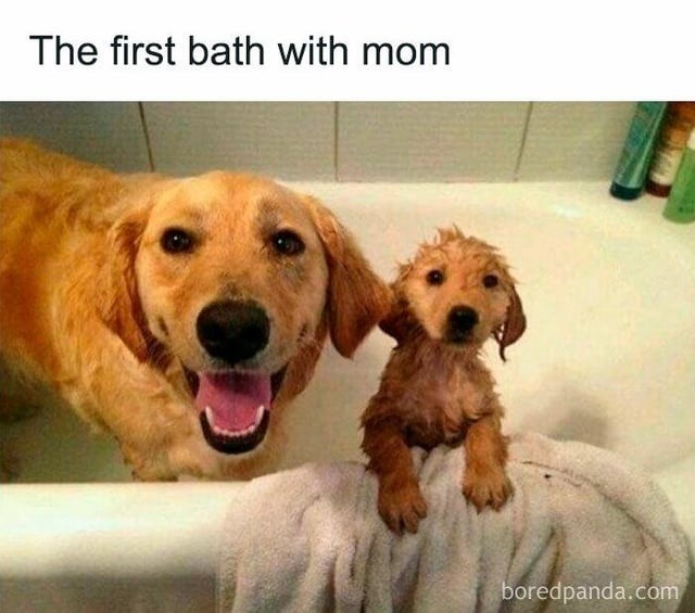 The first bath with mom