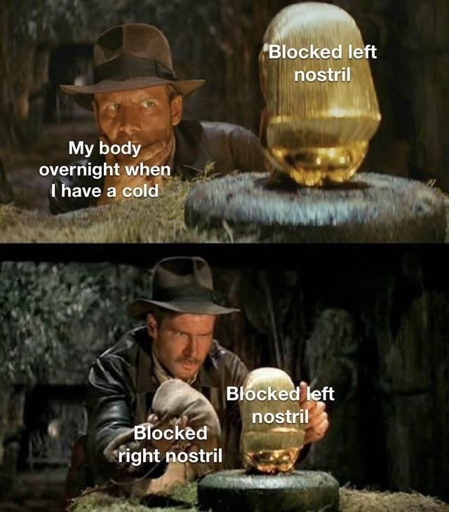 My body overnight when I have a cold
Blocked left nostril
Blocked right nostril