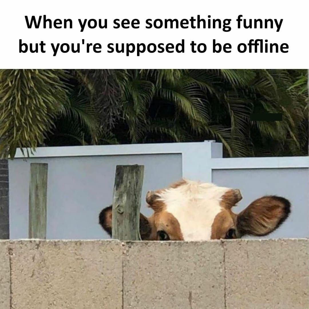 When you see something funny but you're supposed to be offline
