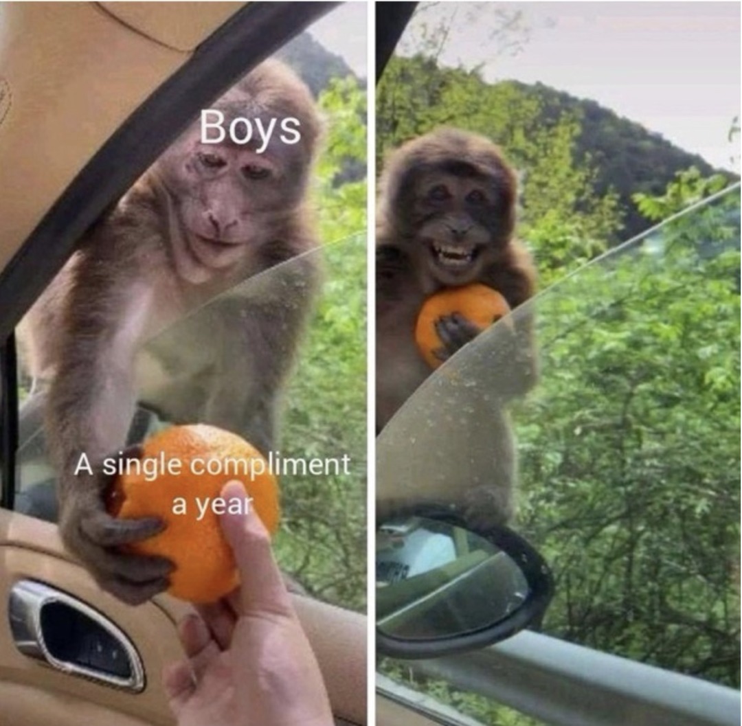 Boys
A single compliment
a year