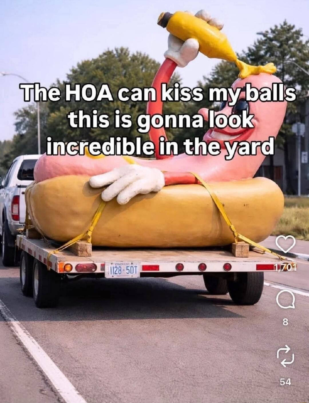 The HOA can kiss my balls this is gonna look incredible in the yard