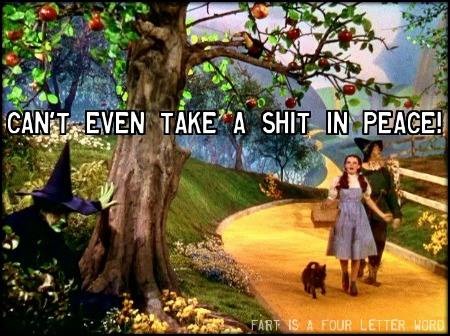 CAN'T EVEN TAKE A SHIT IN PEACE! FART IS A FOUR LETTER WORD