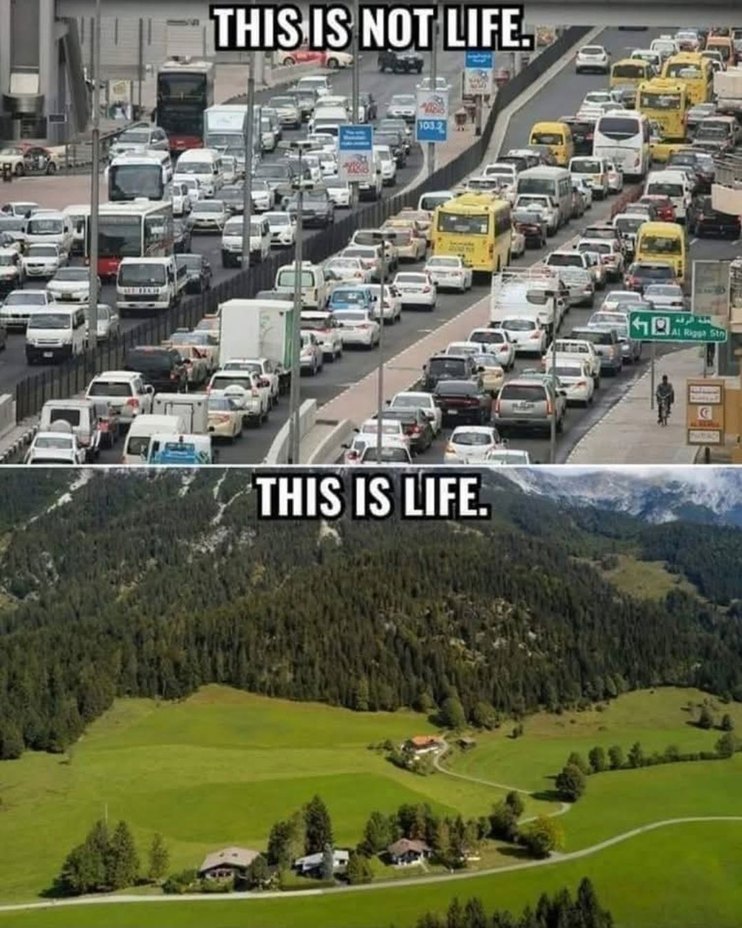 THIS IS NOT LIFE. THIS IS LIFE.