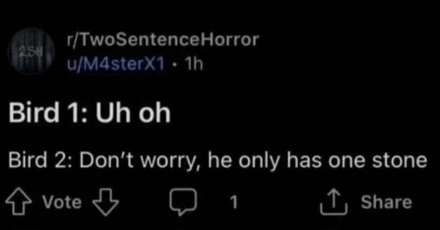 Bird 1: Uh oh
Bird 2: Don't worry, he only has one stone