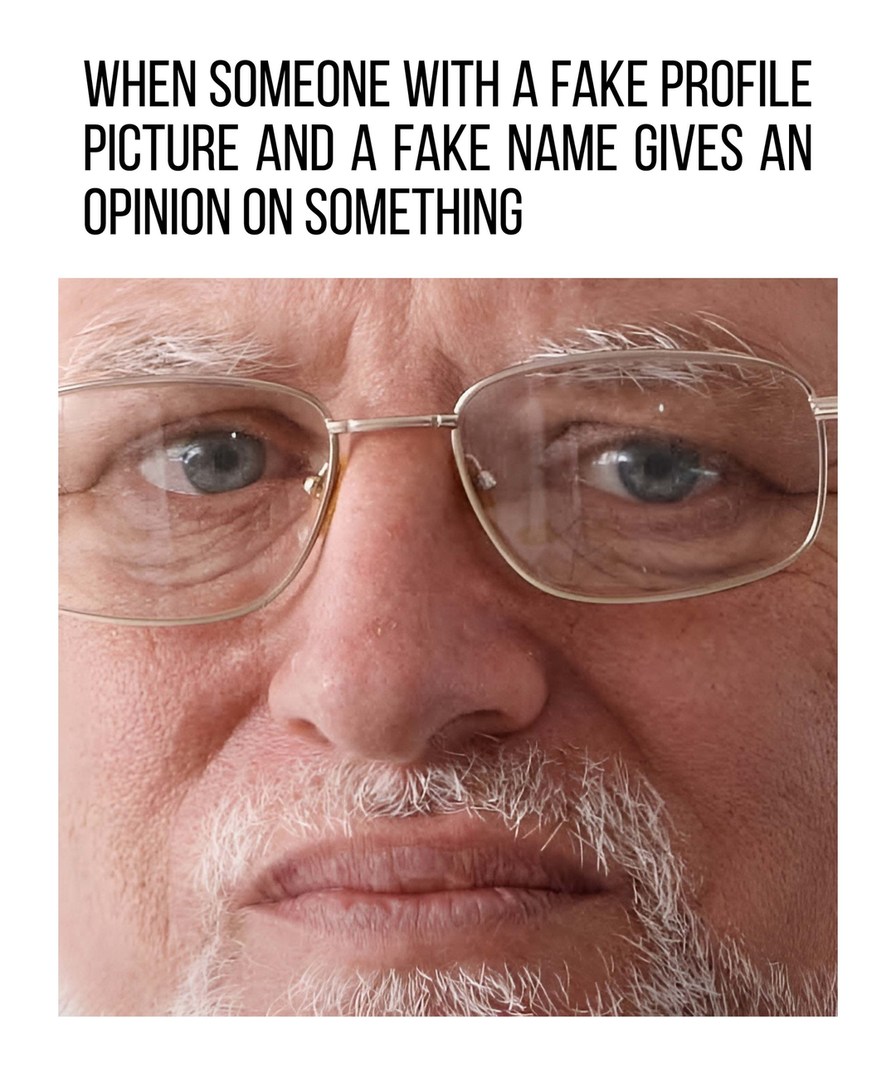 WHEN SOMEONE WITH A FAKE PROFILE PICTURE AND A FAKE NAME GIVES AN OPINION ON SOMETHING