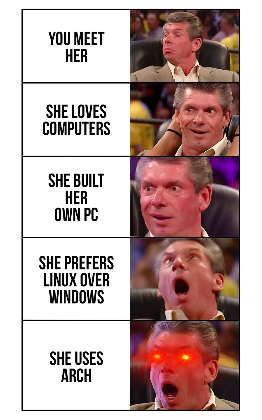 YOU MEET HER
SHE LOVES
COMPUTERS
SHE BUILT
HER
OWN PC
SHE PREFERS
LINUX OVER
WINDOWS
SHE USES
ARCH