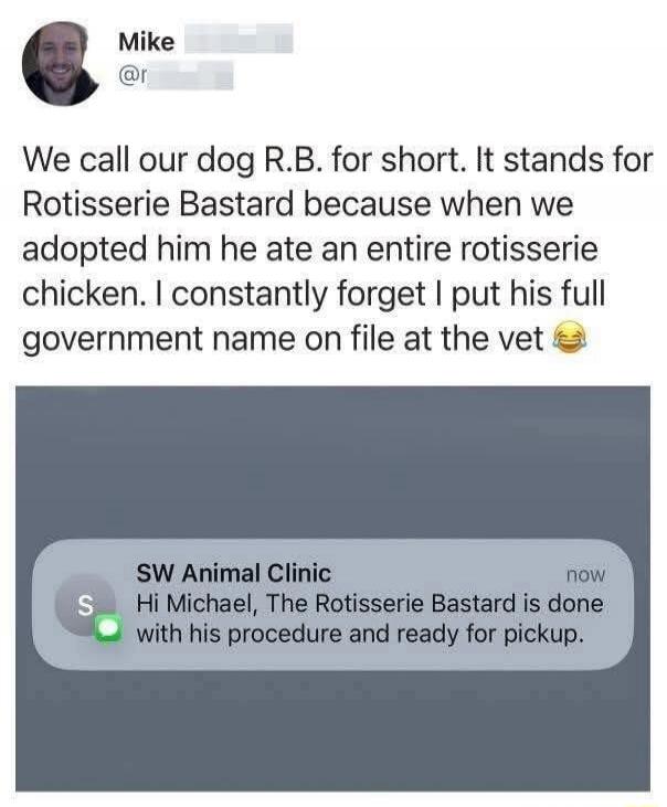 We call our dog R.B. for short. It stands for Rotisserie Bastard because when we adopted him he ate an entire rotisserie chicken. I constantly forget I put his full government name on file at the vet. SW Animal Clinic now Hi Michael, The Rotisserie Bastard is done with his procedure and ready for pickup.