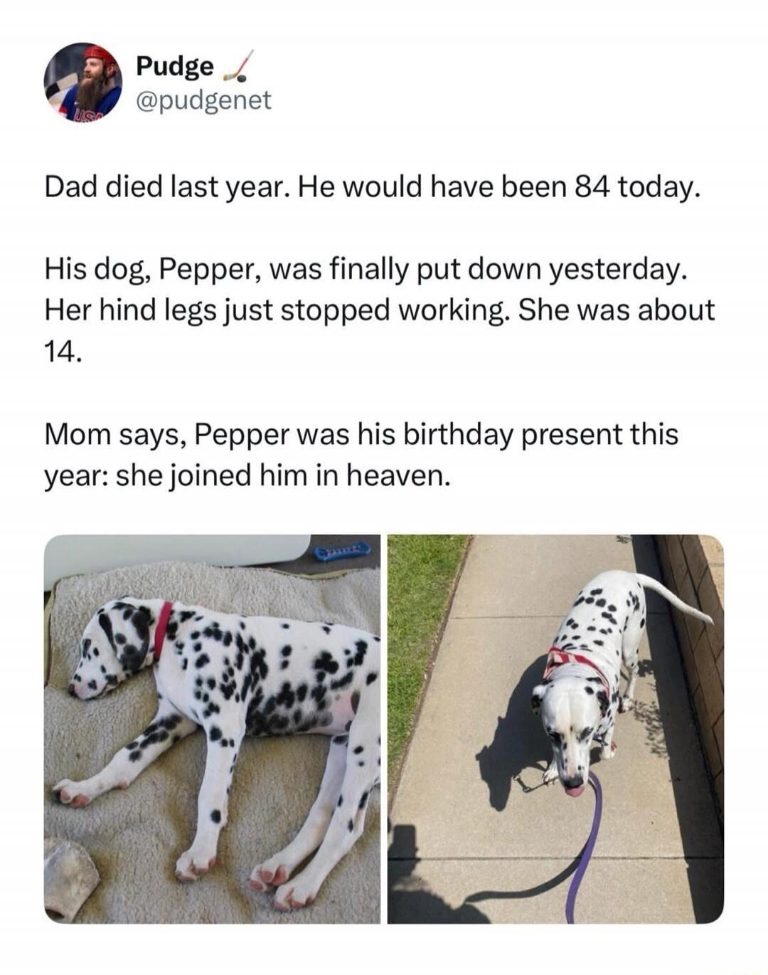 Dad died last year. He would have been 84 today. His dog, Pepper, was finally put down yesterday. Her hind legs just stopped working. She was about 14. Mom says, Pepper was his birthday present this year: she joined him in heaven.