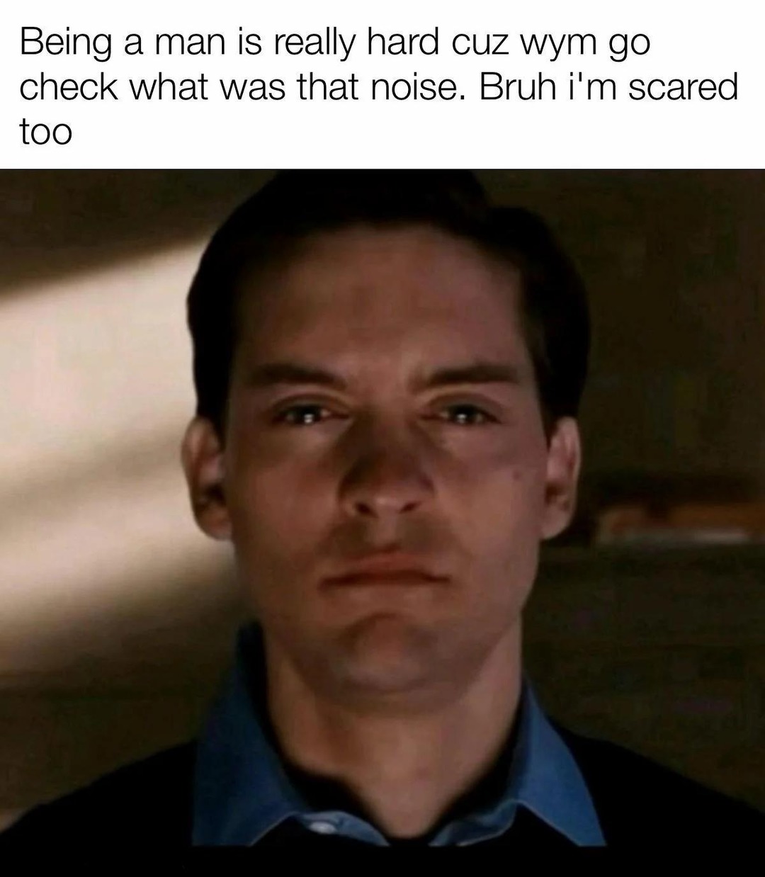 Being a man is really hard cuz wym go check what was that noise. Bruh i'm scared too