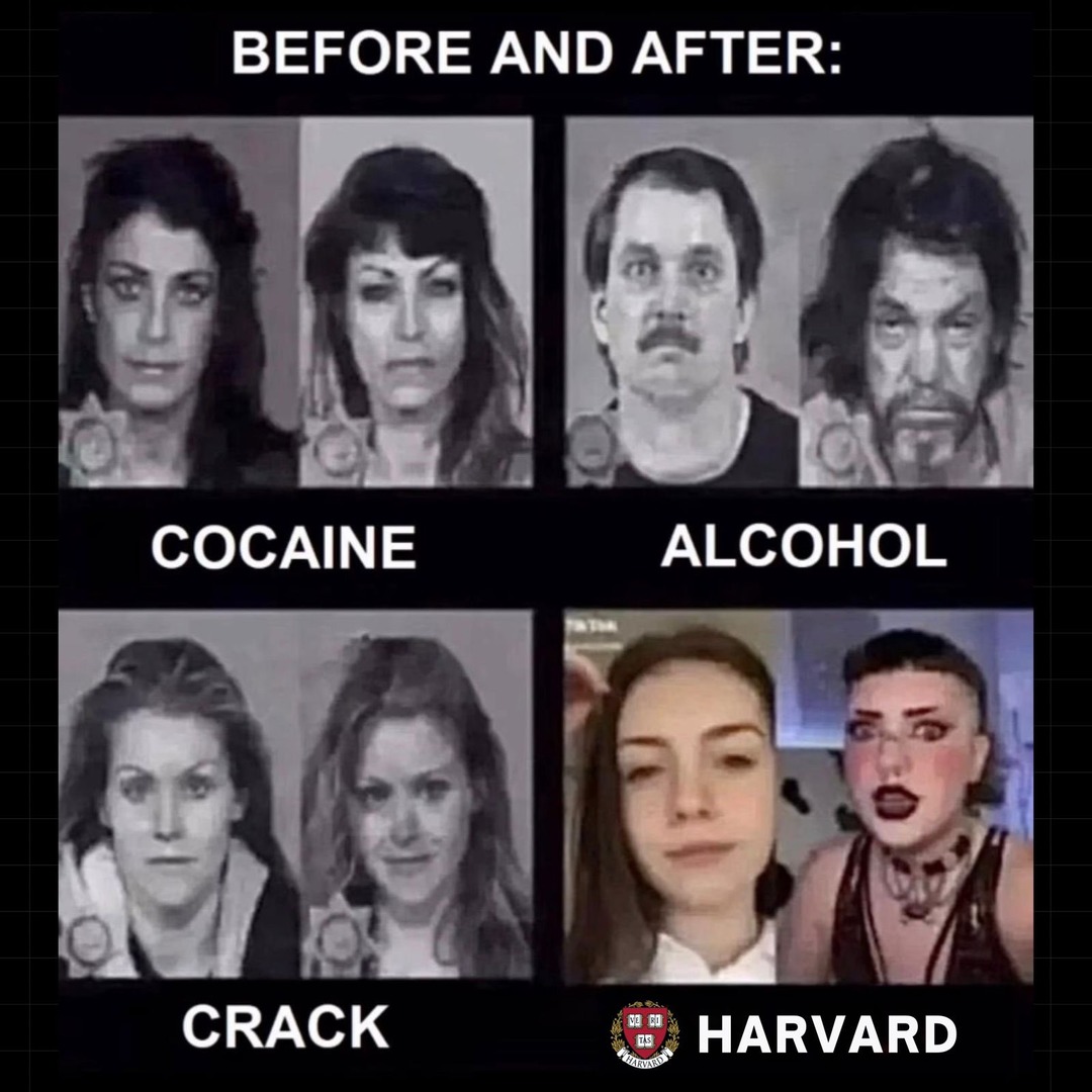 BEFORE AND AFTER: COCAINE ALCOHOL CRACK HARVARD