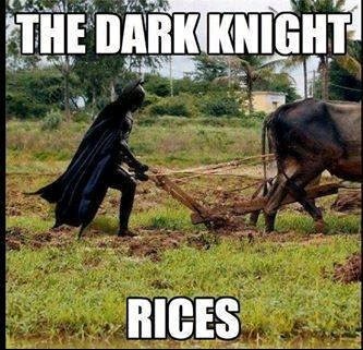 THE DARK KNIGHT
RICES