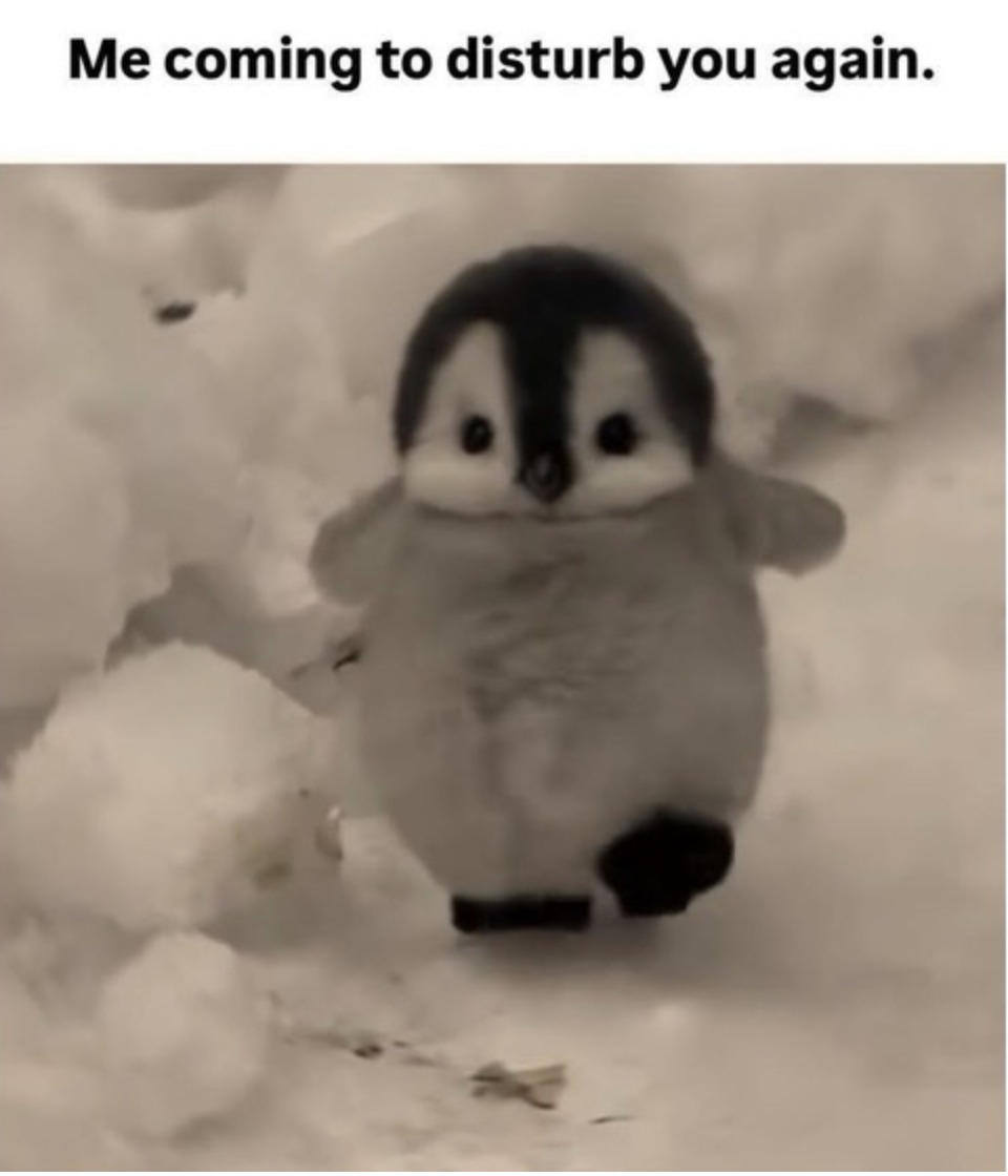 Me coming to disturb you again.