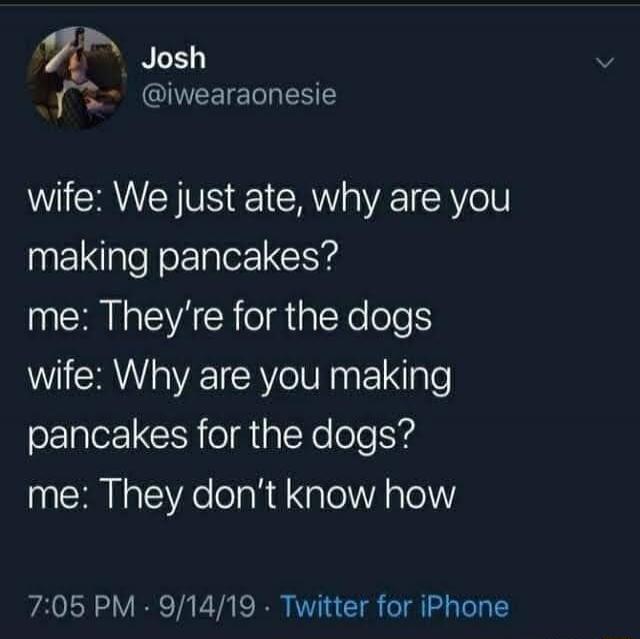 wife: We just ate, why are you making pancakes?
me: They're for the dogs
wife: Why are you making pancakes for the dogs?
me: They don't know how