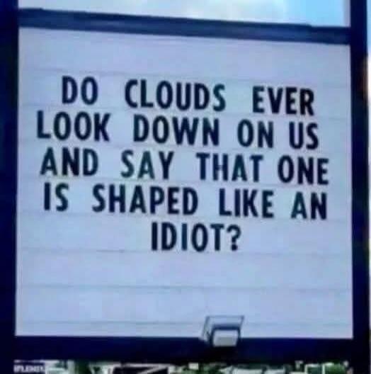 DO CLOUDS EVER LOOK DOWN ON US AND SAY THAT ONE IS SHAPED LIKE AN IDIOT?