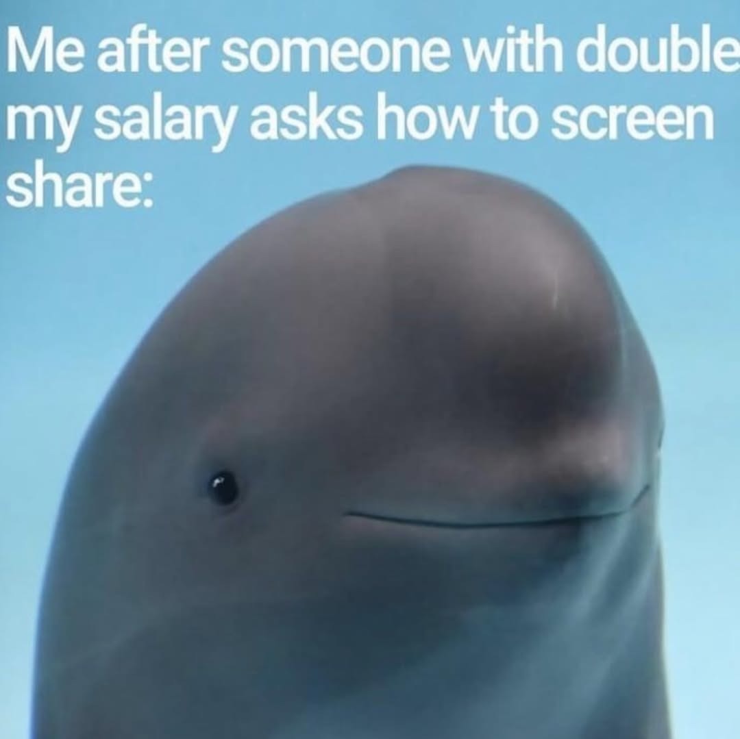 Me after someone with double my salary asks how to screen share: